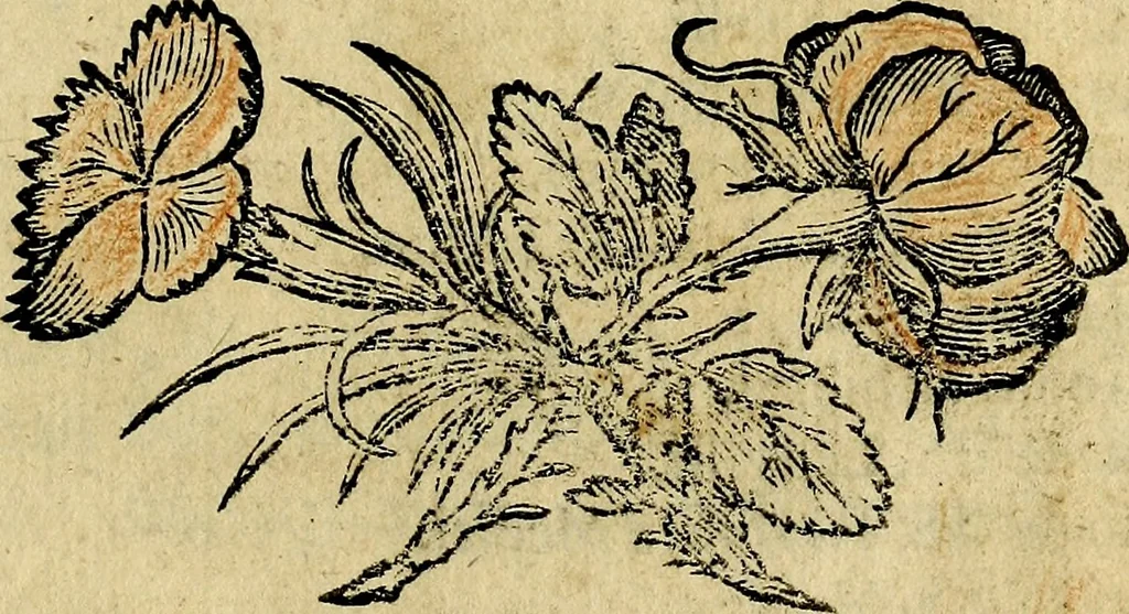 An illustration from Pavli Macii Emblemata .., 1628, leaf 336