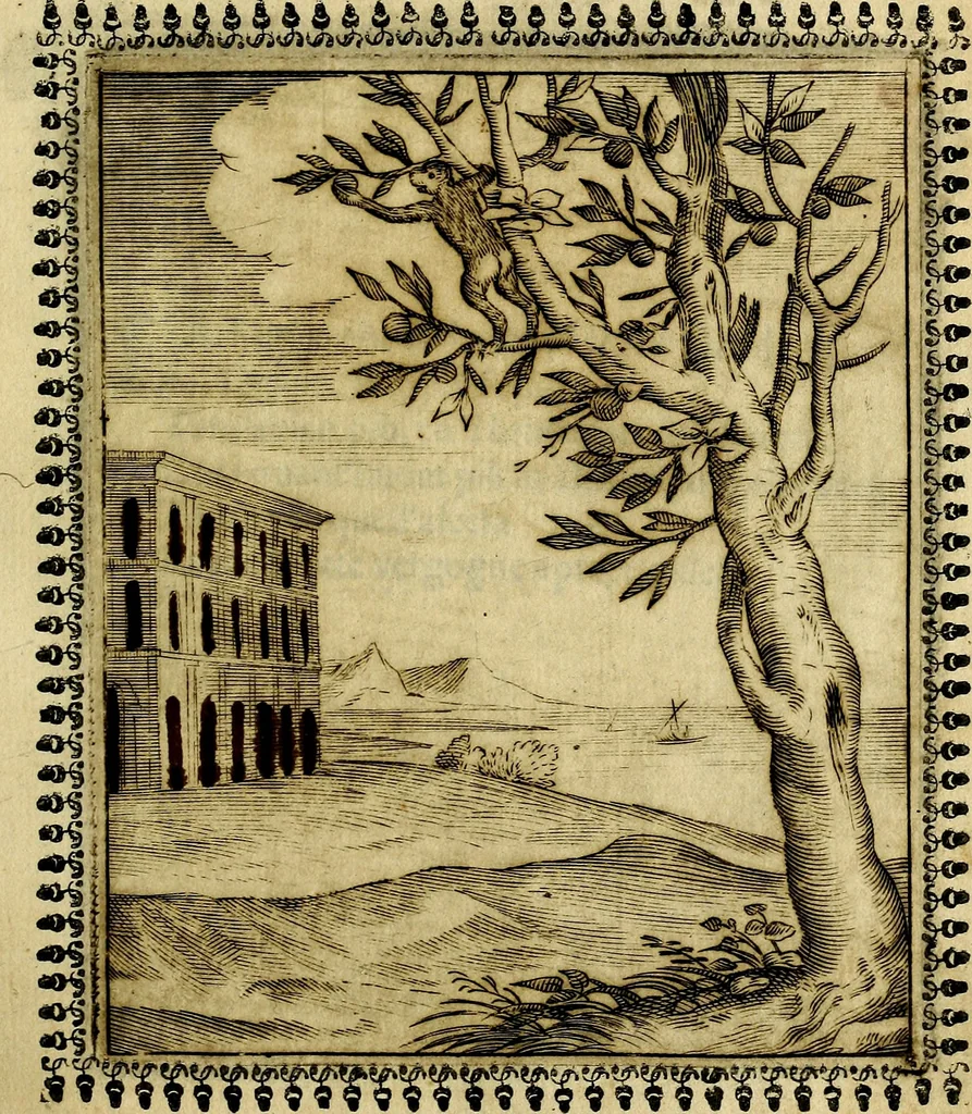 An illustration from Pavli Macii Emblemata .., 1628, leaf 96