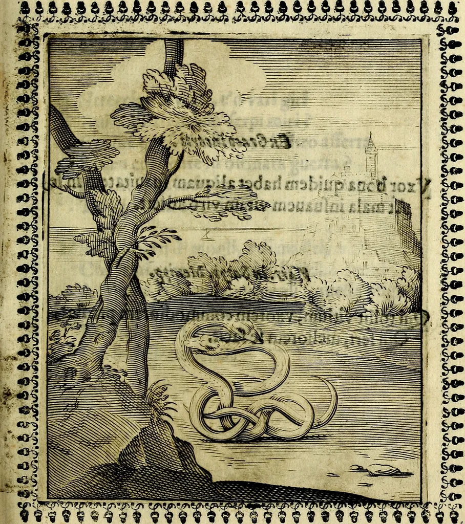 An illustration from Pavli Macii Emblemata .., 1628, leaf 126