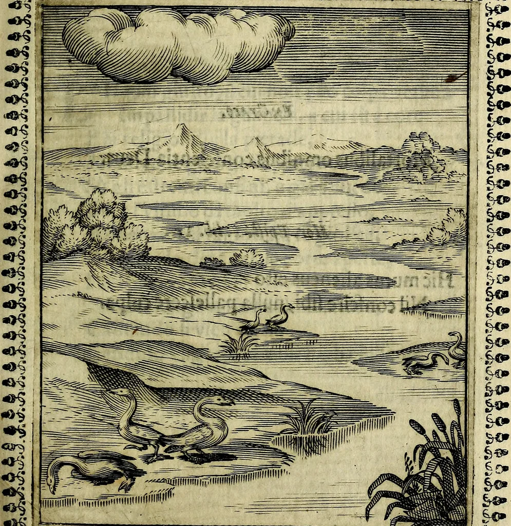 An illustration from Pavli Macii Emblemata .., 1628, leaf 86