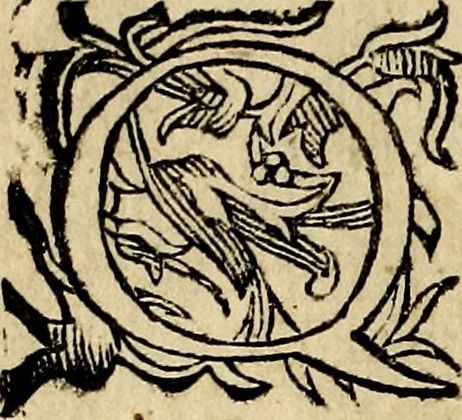 An illustration from Pavli Macii Emblemata .., 1628, leaf 9