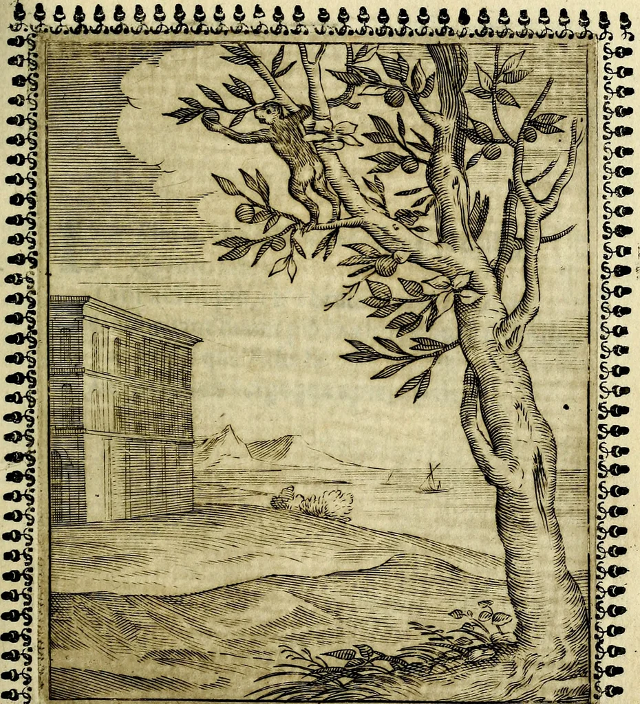 An illustration from Pavli Macii Emblemata .., 1628, leaf 98