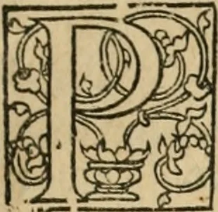 An illustration from P. Bellonii cenomani De arboribus coniferis, resiniferis, aliis quoque nonnullis sempiterna fronde virentibus, cum earundem iconibus ad viuum expressis : item de melle cedrino, cedria, agarico, resinis, & iis quae ex coniferis proficiscuntur, 1553, leaf 144