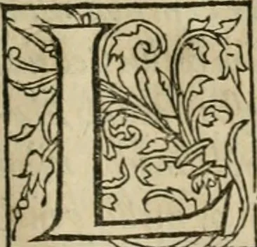 An illustration from P. Bellonii cenomani De arboribus coniferis, resiniferis, aliis quoque nonnullis sempiterna fronde virentibus, cum earundem iconibus ad viuum expressis : item de melle cedrino, cedria, agarico, resinis, & iis quae ex coniferis proficiscuntur, 1553, leaf 166