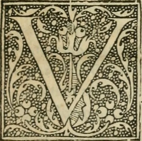 An illustration from P. Bellonii cenomani De arboribus coniferis, resiniferis, aliis quoque nonnullis sempiterna fronde virentibus, cum earundem iconibus ad viuum expressis : item de melle cedrino, cedria, agarico, resinis, & iis quae ex coniferis proficiscuntur, 1553, leaf 20
