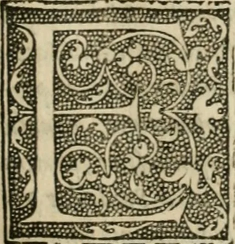 An illustration from P. Bellonii cenomani De arboribus coniferis, resiniferis, aliis quoque nonnullis sempiterna fronde virentibus, cum earundem iconibus ad viuum expressis : item de melle cedrino, cedria, agarico, resinis, & iis quae ex coniferis proficiscuntur, 1553, leaf 22