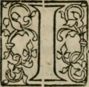 An illustration from P. Bellonii cenomani De arboribus coniferis, resiniferis, aliis quoque nonnullis sempiterna fronde virentibus, cum earundem iconibus ad viuum expressis : item de melle cedrino, cedria, agarico, resinis, & iis quae ex coniferis proficiscuntur, 1553, leaf 25