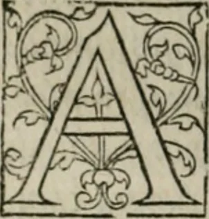 An illustration from P. Bellonii cenomani De arboribus coniferis, resiniferis, aliis quoque nonnullis sempiterna fronde virentibus, cum earundem iconibus ad viuum expressis : item de melle cedrino, cedria, agarico, resinis, & iis quae ex coniferis proficiscuntur, 1553, leaf 29