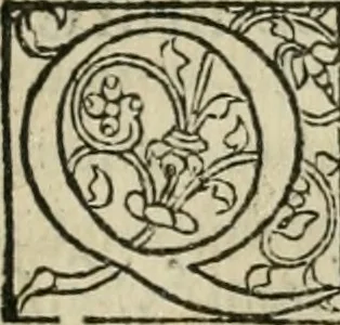 An illustration from P. Bellonii cenomani De arboribus coniferis, resiniferis, aliis quoque nonnullis sempiterna fronde virentibus, cum earundem iconibus ad viuum expressis : item de melle cedrino, cedria, agarico, resinis, & iis quae ex coniferis proficiscuntur, 1553, leaf 40