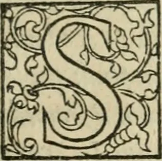 An illustration from P. Bellonii cenomani De arboribus coniferis, resiniferis, aliis quoque nonnullis sempiterna fronde virentibus, cum earundem iconibus ad viuum expressis : item de melle cedrino, cedria, agarico, resinis, & iis quae ex coniferis proficiscuntur, 1553, leaf 48
