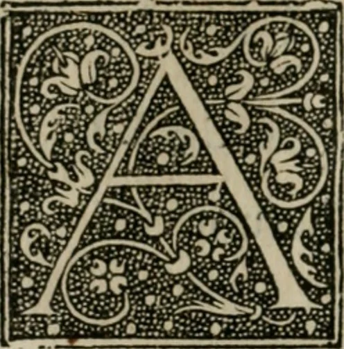 An illustration from P. Bellonii cenomani De arboribus coniferis, resiniferis, aliis quoque nonnullis sempiterna fronde virentibus, cum earundem iconibus ad viuum expressis : item de melle cedrino, cedria, agarico, resinis, & iis quae ex coniferis proficiscuntur, 1553, leaf 59