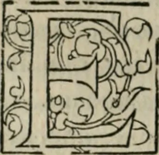 An illustration from P. Bellonii cenomani De arboribus coniferis, resiniferis, aliis quoque nonnullis sempiterna fronde virentibus, cum earundem iconibus ad viuum expressis : item de melle cedrino, cedria, agarico, resinis, & iis quae ex coniferis proficiscuntur, 1553, leaf 65