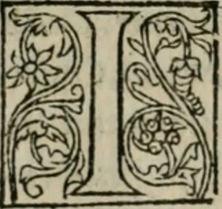 An illustration from P. Bellonii cenomani De arboribus coniferis, resiniferis, aliis quoque nonnullis sempiterna fronde virentibus, cum earundem iconibus ad viuum expressis : item de melle cedrino, cedria, agarico, resinis, & iis quae ex coniferis proficiscuntur, 1553, leaf 71