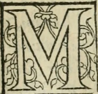 An illustration from P. Bellonii cenomani De arboribus coniferis, resiniferis, aliis quoque nonnullis sempiterna fronde virentibus, cum earundem iconibus ad viuum expressis : item de melle cedrino, cedria, agarico, resinis, & iis quae ex coniferis proficiscuntur, 1553, leaf 84
