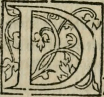 An illustration from P. Bellonii cenomani De arboribus coniferis, resiniferis, aliis quoque nonnullis sempiterna fronde virentibus, cum earundem iconibus ad viuum expressis : item de melle cedrino, cedria, agarico, resinis, & iis quae ex coniferis proficiscuntur, 1553, leaf 91