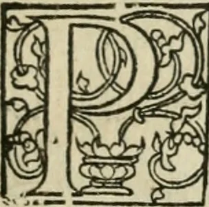 An illustration from P. Bellonii cenomani De arboribus coniferis, resiniferis, aliis quoque nonnullis sempiterna fronde virentibus, cum earundem iconibus ad viuum expressis : item de melle cedrino, cedria, agarico, resinis, & iis quae ex coniferis proficiscuntur, 1553, leaf 94