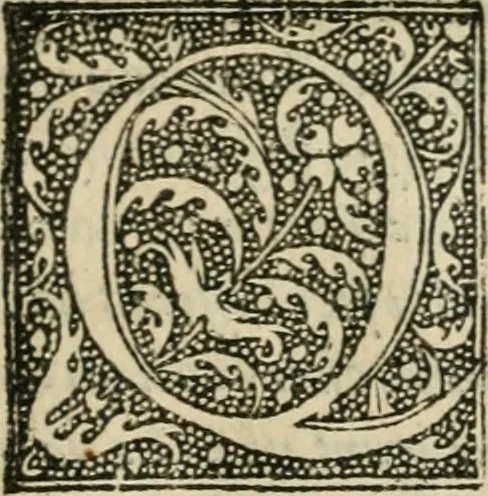 An illustration from P. Bellonii cenomani De arboribus coniferis, resiniferis, aliis quoque nonnullis sempiterna fronde virentibus, cum earundem iconibus ad viuum expressis : item de melle cedrino, cedria, agarico, resinis, & iis quae ex coniferis proficiscuntur, 1553, leaf 96