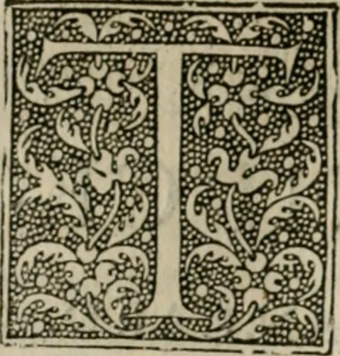 An illustration from P. Bellonii cenomani De arboribus coniferis, resiniferis, aliis quoque nonnullis sempiterna fronde virentibus, cum earundem iconibus ad viuum expressis : item de melle cedrino, cedria, agarico, resinis, & iis quae ex coniferis proficiscuntur, 1553, leaf 97