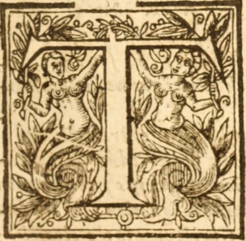 An illustration from A peaceable and temperate plea for Pavls Presbyterie in Scotland : or, a modest and brotherly dispute of the government of the Church of Scotland, wherein, our discipline is demonstrated to be the true Apostolick way of divine truth, and the arguments on the contrary are friendly dissolved, the grounds of separation and the indepencie of particular Congregations in defence of Ecclesiaticall Presbyteries, Synods and Assemblies, are examined and tryed, 1642, leaf 20