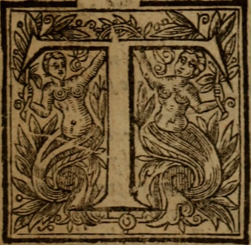 An illustration from A peaceable and temperate plea for Pavls Presbyterie in Scotland : or, a modest and brotherly dispute of the government of the Church of Scotland, wherein, our discipline is demonstrated to be the true Apostolick way of divine truth, and the arguments on the contrary are friendly dissolved, the grounds of separation and the indepencie of particular Congregations in defence of Ecclesiaticall Presbyteries, Synods and Assemblies, are examined and tryed, 1642, leaf 22