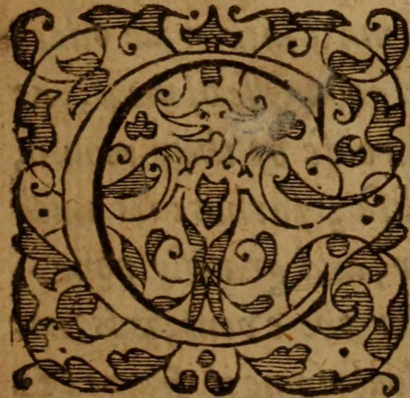 An illustration from A peaceable and temperate plea for Pavls Presbyterie in Scotland : or, a modest and brotherly dispute of the government of the Church of Scotland, wherein, our discipline is demonstrated to be the true Apostolick way of divine truth, and the arguments on the contrary are friendly dissolved, the grounds of separation and the indepencie of particular Congregations in defence of Ecclesiaticall Presbyteries, Synods and Assemblies, are examined and tryed, 1642, leaf 8