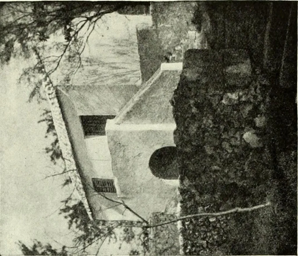 An illustration from Peasant art in Austria and Hungary, 1911, leaf 104