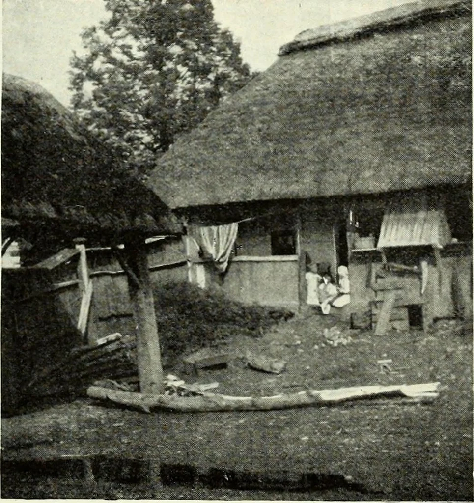 An illustration from Peasant art in Austria and Hungary, 1911, leaf 104