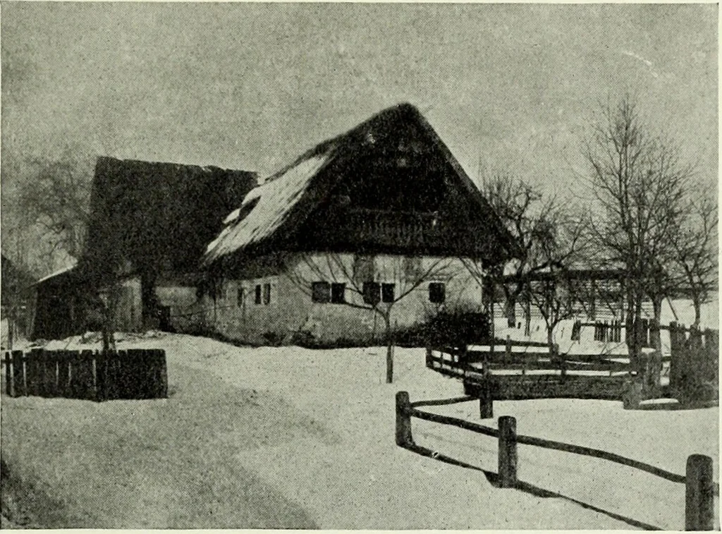 An illustration from Peasant art in Austria and Hungary, 1911, leaf 168