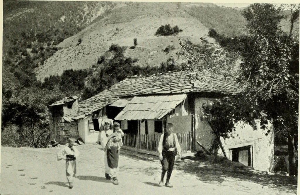 An illustration from Peasant art in Austria and Hungary, 1911, leaf 198