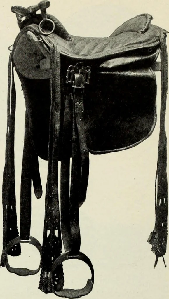 An illustration from Peasant art in Austria and Hungary, 1911, leaf 219