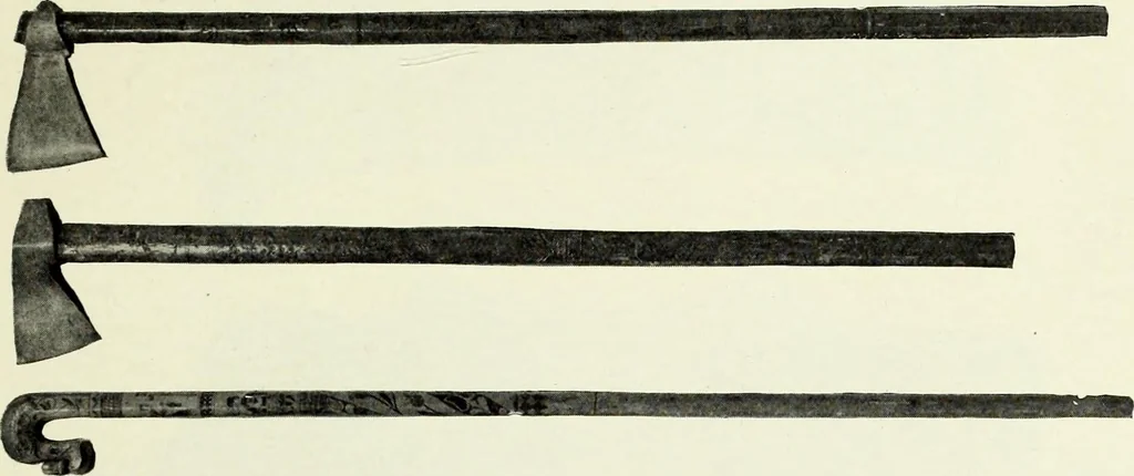 An illustration from Peasant art in Austria and Hungary, 1911, leaf 220