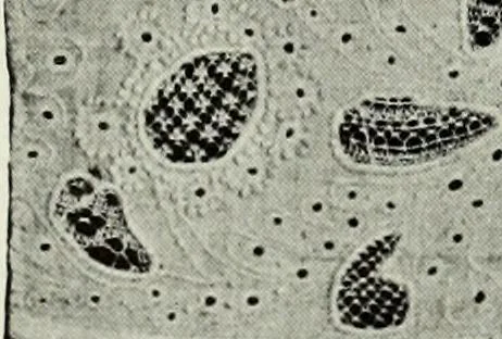 An illustration from Peasant art in Austria and Hungary, 1911, leaf 241
