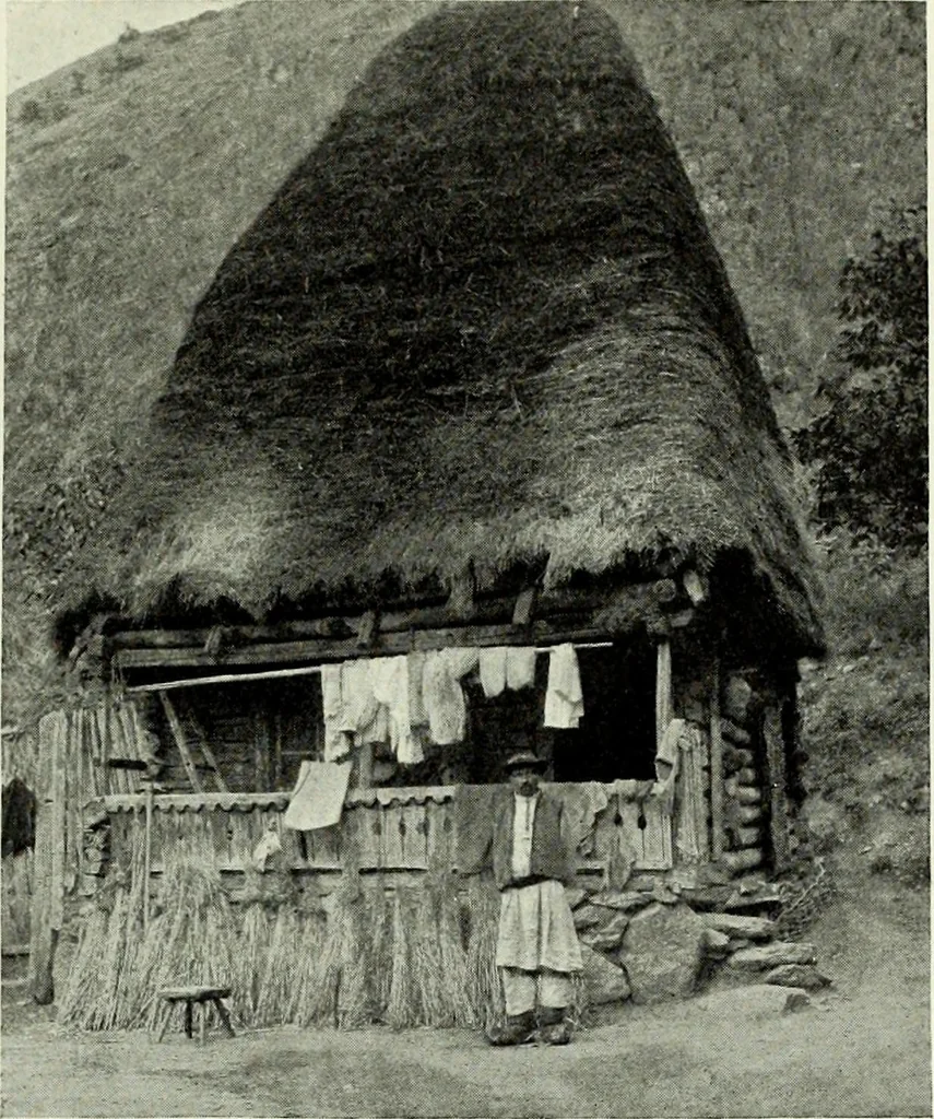 An illustration from Peasant art in Austria and Hungary, 1911, leaf 244
