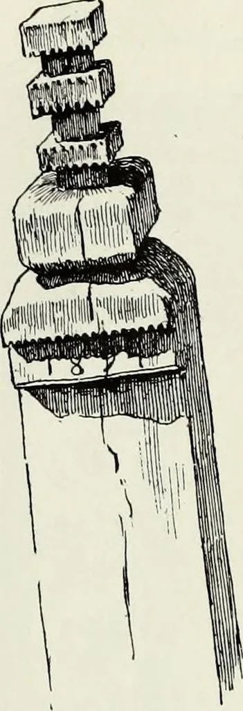 An illustration from Peasant art in Austria and Hungary, 1911, leaf 255