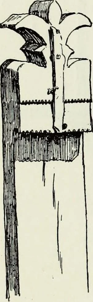 An illustration from Peasant art in Austria and Hungary, 1911, leaf 255