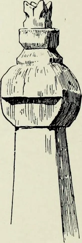 An illustration from Peasant art in Austria and Hungary, 1911, leaf 255