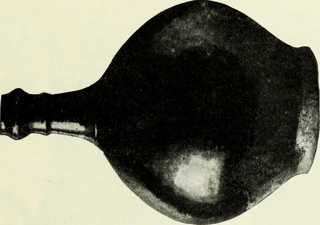 An illustration from Peasant art in Austria and Hungary, 1911, leaf 58
