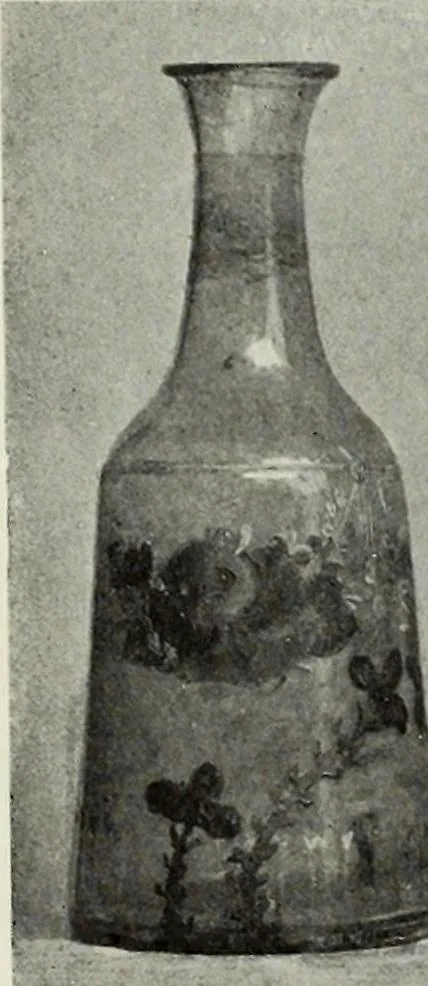 An illustration from Peasant art in Austria and Hungary, 1911, leaf 87