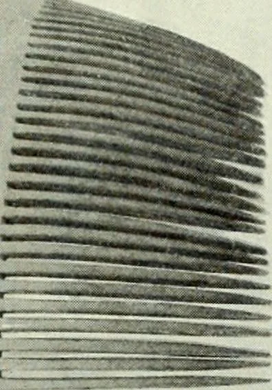 An illustration from Peasant art in Austria and Hungary, 1911, leaf 90