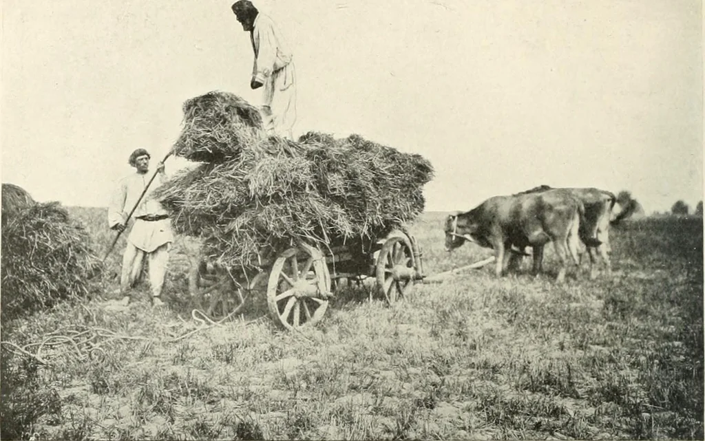 An illustration from Peasant art in Russia, 1912, leaf 147