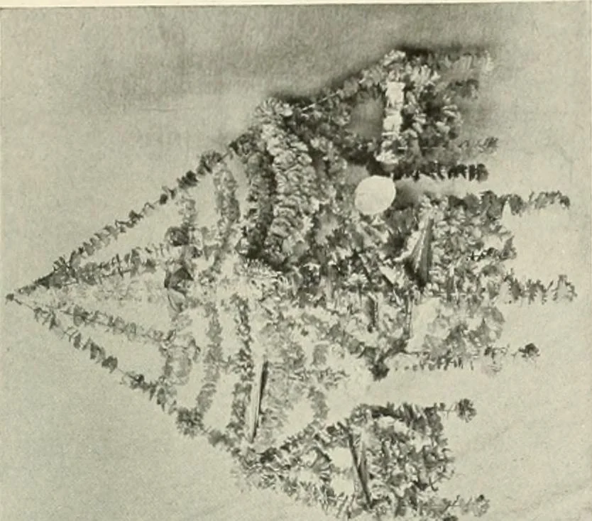 An illustration from Peasant art in Russia, 1912, leaf 222