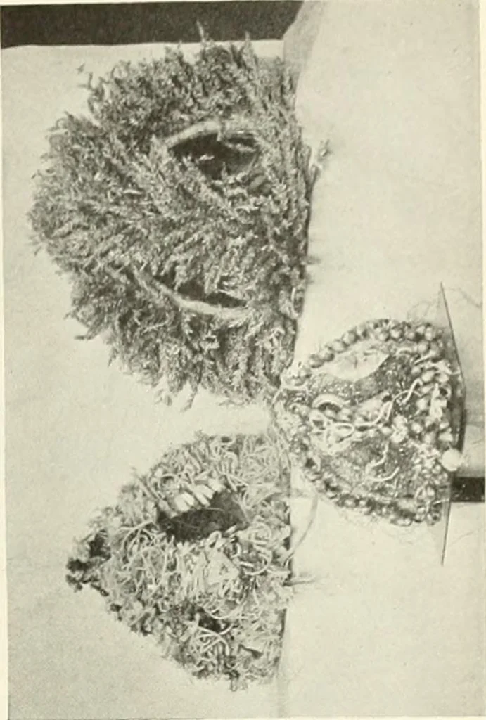An illustration from Peasant art in Russia, 1912, leaf 222