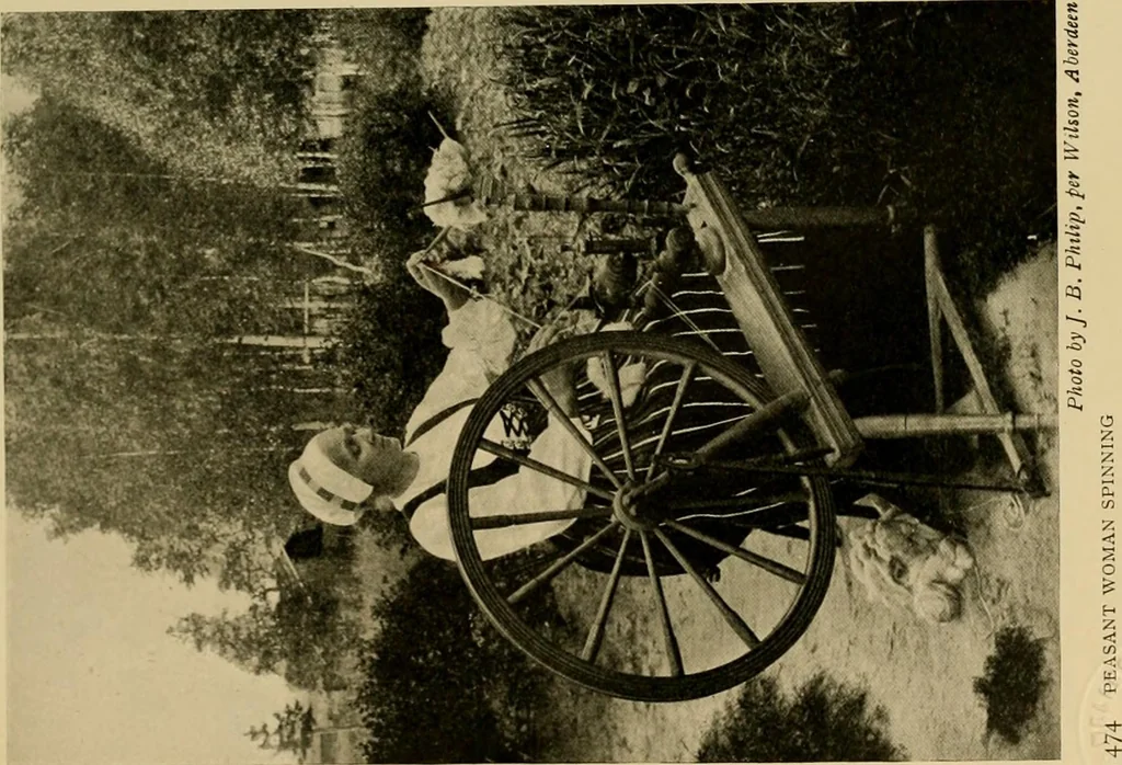 An illustration from Peasant art in Sweden, Lapland and Iceland;, 1910, leaf 166
