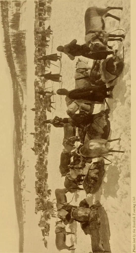 An illustration from Peasant art in Sweden, Lapland and Iceland;, 1910, leaf 174