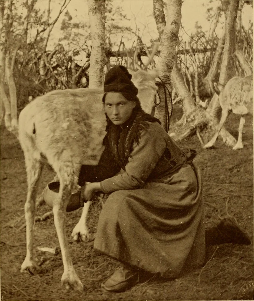 An illustration from Peasant art in Sweden, Lapland and Iceland;, 1910, leaf 178