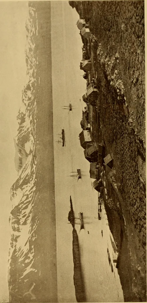 An illustration from Peasant art in Sweden, Lapland and Iceland;, 1910, leaf 204