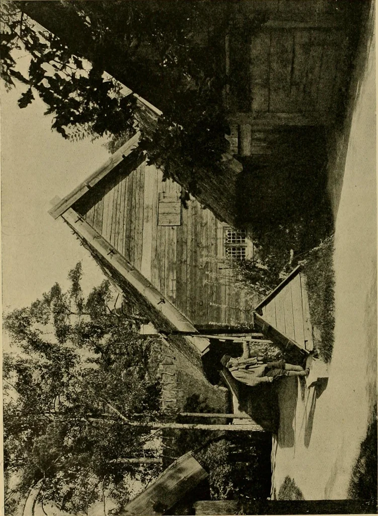 An illustration from Peasant art in Sweden, Lapland and Iceland;, 1910, leaf 53