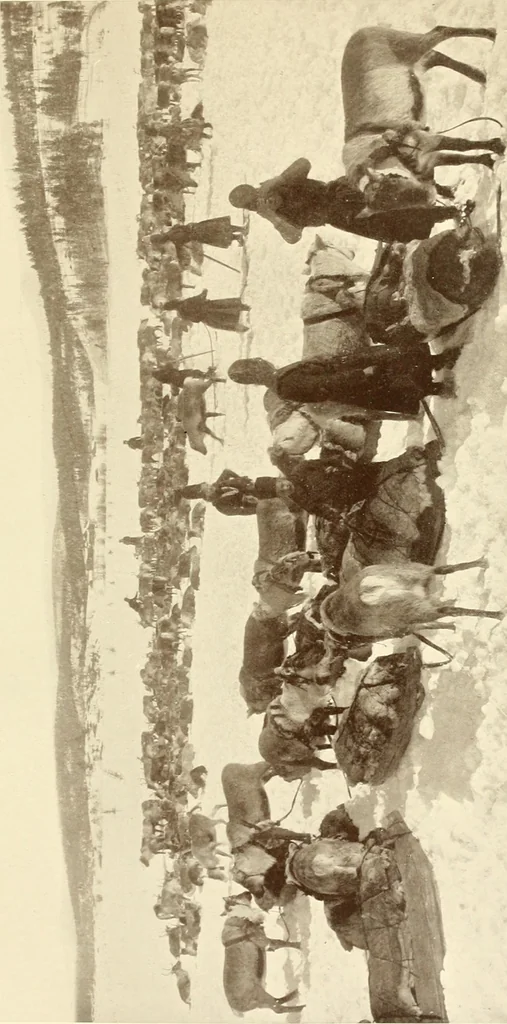 An illustration from Peasant art in Sweden, Lapland and Iceland, 1910, leaf 204