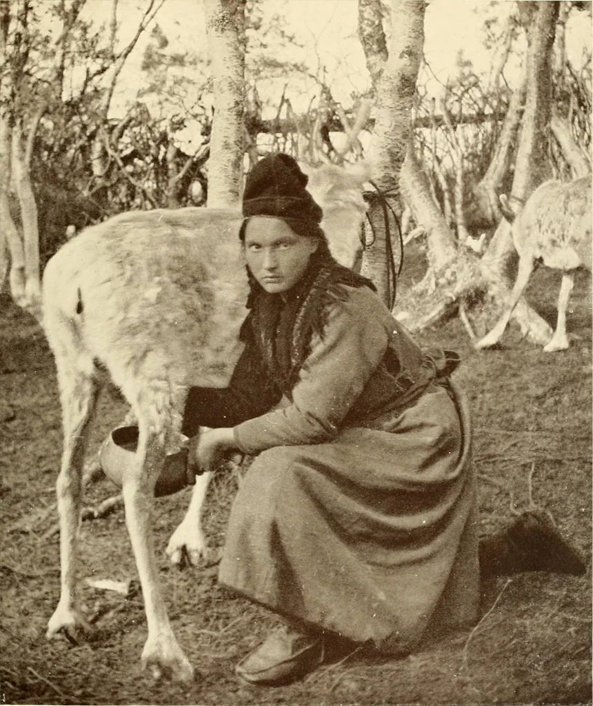 An illustration from Peasant art in Sweden, Lapland and Iceland, 1910, leaf 210