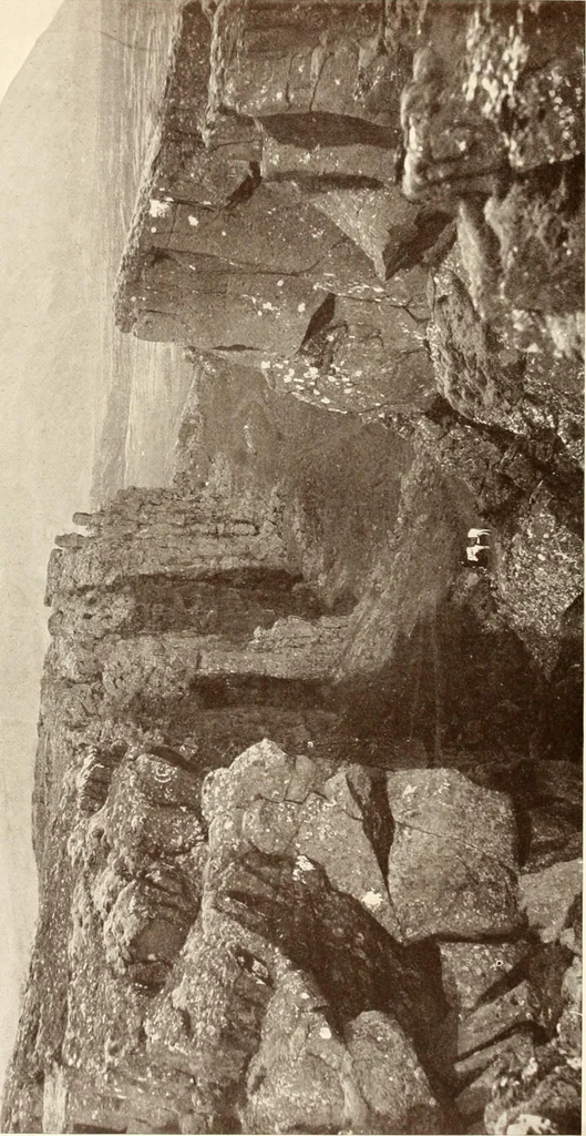 An illustration from Peasant art in Sweden, Lapland and Iceland, 1910, leaf 233
